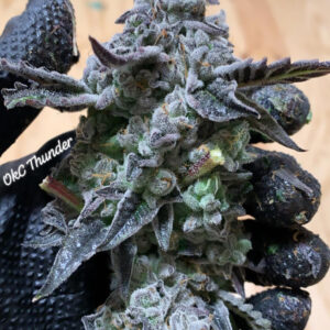 Oklahoma City Thunder